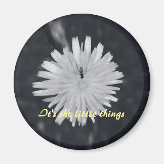 Het zijn de kleine dingen magneet