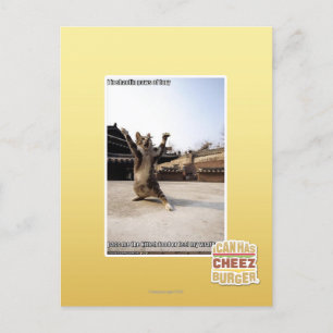 Het zijn shaolin poten van woede briefkaart
