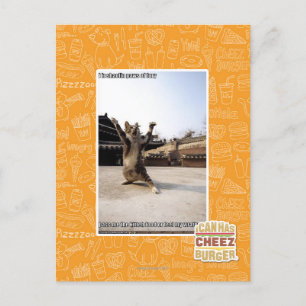 Het zijn shaolin poten van woede briefkaart