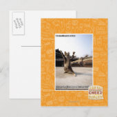 Het zijn shaolin poten van woede briefkaart (Voorkant / Achterkant)