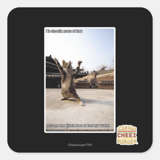 Het zijn shaolin poten van woede vierkante sticker (Voorkant)