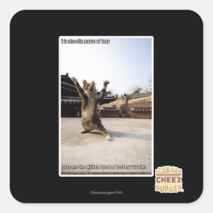 Het zijn shaolin poten van woede vierkante sticker