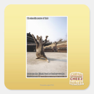 Het zijn shaolin poten van woede vierkante sticker