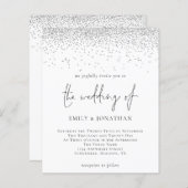 Het Zilveren van het Manuscript van de begroting n (Voorkant / Achterkant)