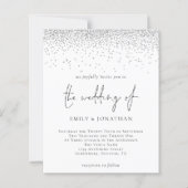 Het Zilveren van het Manuscript van de begroting n (Voorkant)