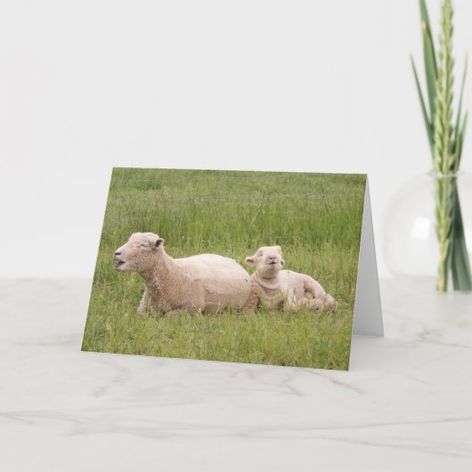 Het zingen Schapen Kaart (Voorkant)