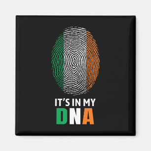 Het Zit In Mijn Dna Ierland Ierse Vlag Cadeaus Man Magneet