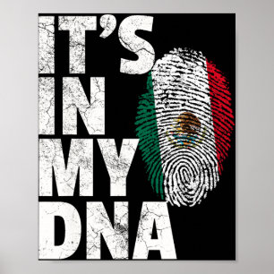 Het Zit In Mijn Dna Mexicaans Mexico Vlag Cinco De Poster