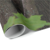 Het zoeken van een Te eten Beet Cadeaupapier (Rol Hoek)