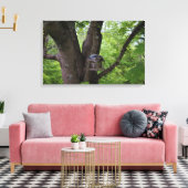 Het zoeken van een Te eten Beet Canvas Afdruk (Insitu (Woonkamer))