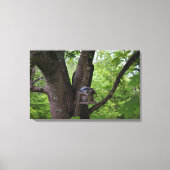 Het zoeken van een Te eten Beet Canvas Afdruk (Voorkant)