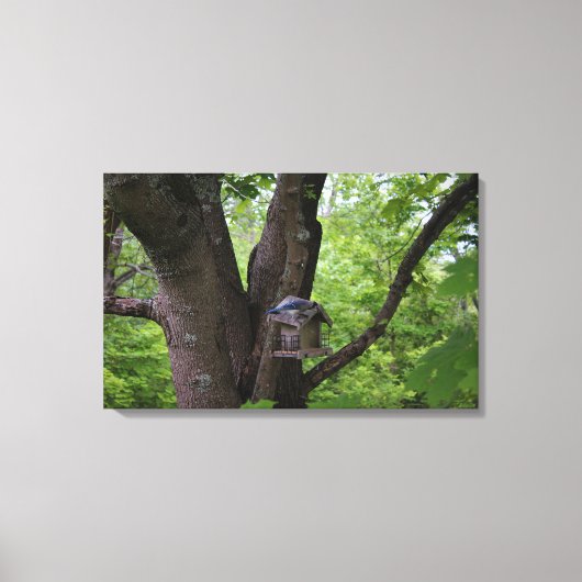 Het zoeken van een Te eten Beet Canvas Afdruk (Voorkant)