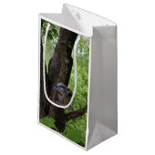 Het zoeken van een Te eten Beet Klein Cadeauzakje (Voorkant Gekanteld)