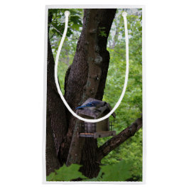 Het zoeken van een Te eten Beet Klein Cadeauzakje