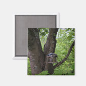 Het zoeken van een Te eten Beet Magneet (Voorkant / Achterkant)