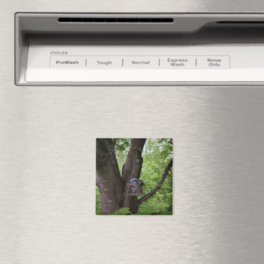 Het zoeken van een Te eten Beet Magneet (Insitu (Vaatwasser))