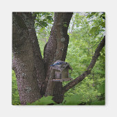 Het zoeken van een Te eten Beet Magneet (Voorkant)