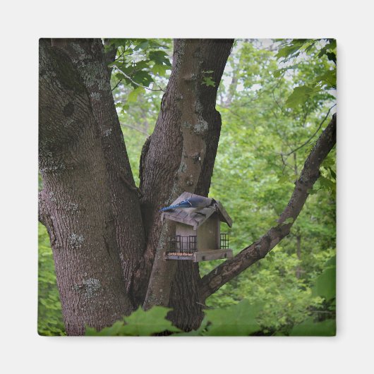 Het zoeken van een Te eten Beet Magneet (Voorkant)