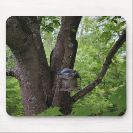 Het zoeken van een Te eten Beet Muismat