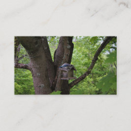 Het zoeken van een Te eten Beet Visitekaartje