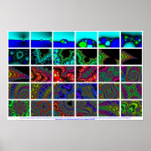 Het zoemen binnen op fractal van de Methode van ee Poster (Voorkant)