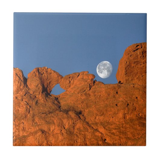 Het zoenen Camels Rock Formatie met Full Moon Tegeltje (Voorkant)