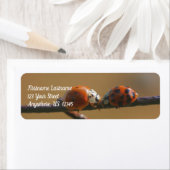 Het zoenen van Ladybugs op een adres van de Natuur Etiket (Insitu)