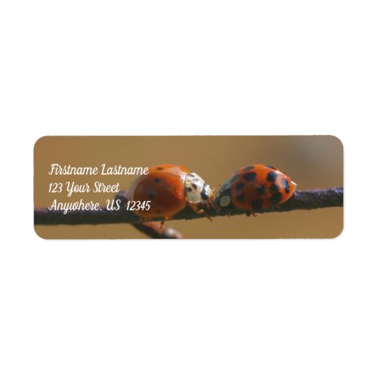 Het zoenen van Ladybugs op een adres van de Natuur Etiket (Voorkant)