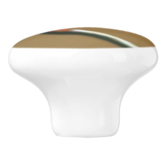 Het zoenen van Ladybugs op een draadhek dicht bij  Keramische Knop (Zijkant)