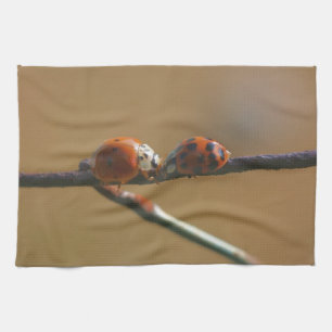 Het zoenen van Ladybugs op een draadhek dicht bij  Theedoek