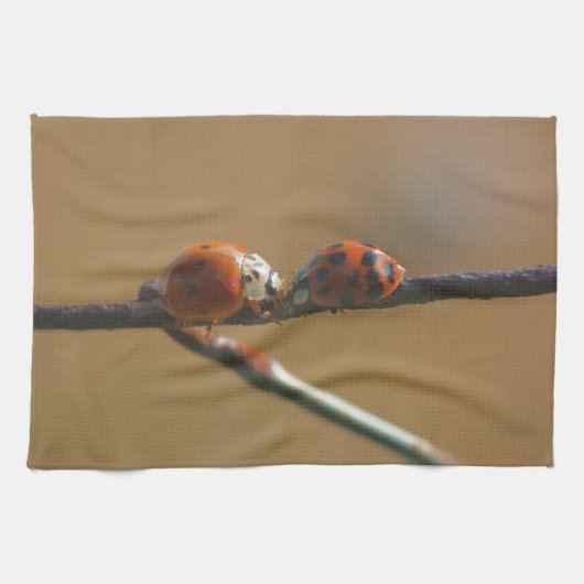 Het zoenen van Ladybugs op een draadhek dicht bij  Theedoek (Horizontaal)