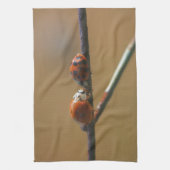 Het zoenen van Ladybugs op een draadhek dicht bij  Theedoek (Verticaal)