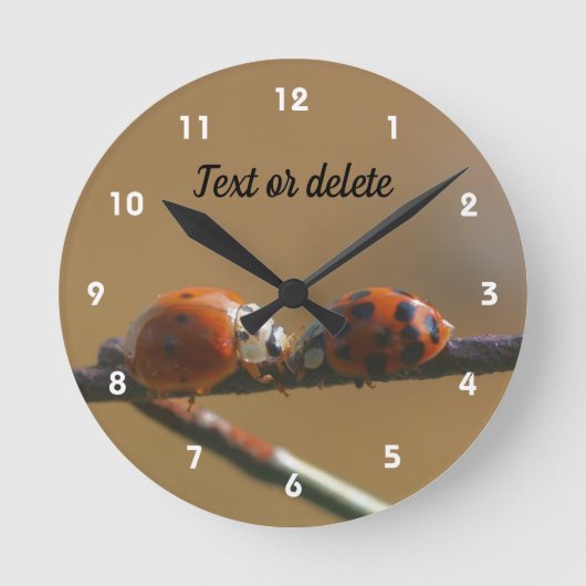 Het zoenen van Ladybugs op een gepersonaliseerd dr Ronde Klok (Voorkant)
