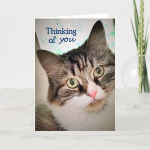 Het zoete Denken van Uitdrukkingen aan u Kaart