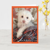 Het zoete die puppy in een deken wordt verpakt kaart (Gele Bloem)