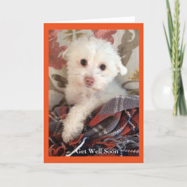 Het zoete die puppy in een deken wordt verpakt kaart