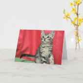 Het zoete Lege Wenskaart van het Katje Kaart (Gele Bloem)