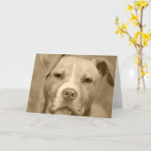 Het zoete Wenskaart van het Gezicht Staffie Kaart (Gele Bloem)