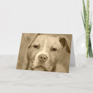 Het zoete Wenskaart van het Gezicht Staffie Kaart
