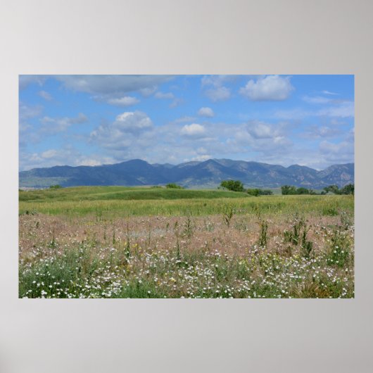 Het zomerColorado-landschap Poster (Voorkant)
