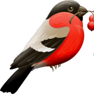 Het zomerse shirt bedrukt met een vogeltje in rood