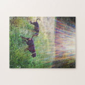 Het zonlicht van de avond legpuzzel (Horizontaal)