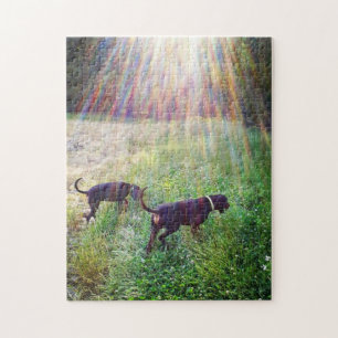 Het zonlicht van de avond legpuzzel