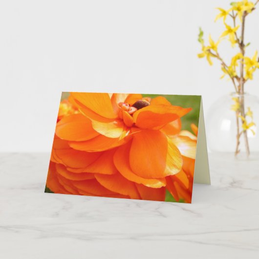 Het zonlicht van de ochtend kaart (Gele Bloem)