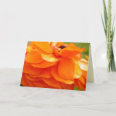 Het zonlicht van de ochtend kaart (Voorkant)