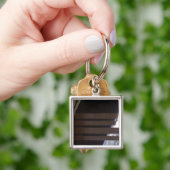 Het zonnepaneel van het internationale ruimtestati sleutelhanger (Hand)