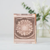 Het zonnestelsel briefkaart (Staand voorkant)