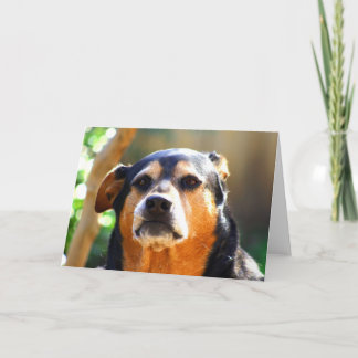 Het zonnige Wenskaart van het Kaart