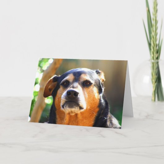 Het zonnige Wenskaart van het Kaart (Voorkant)