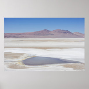 Het zoutmeer op weg naar Argentinië Poster